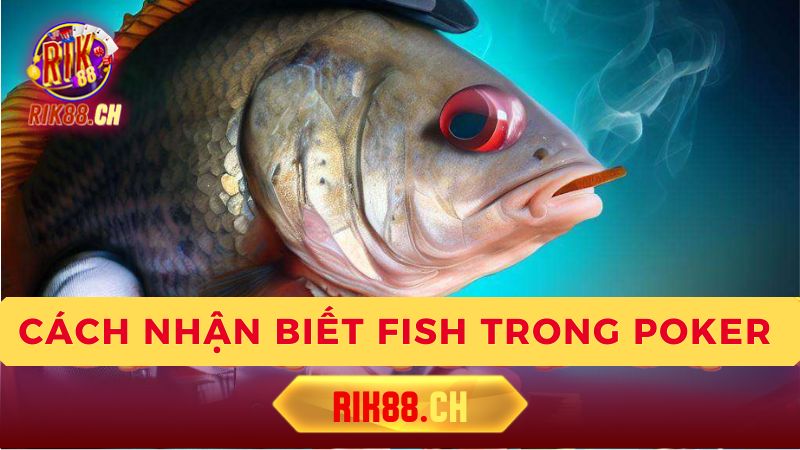 Dấu hiệu nhận biết một "Fish"