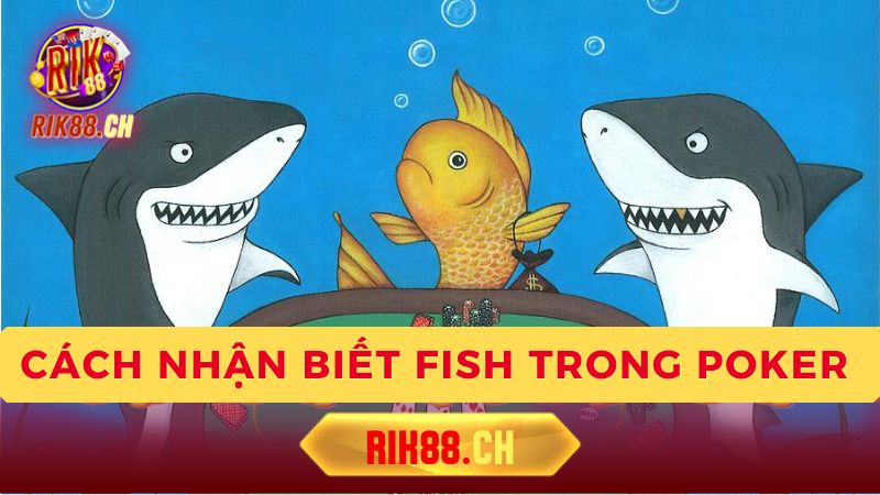 Cách xử lý khi gặp "Fish"