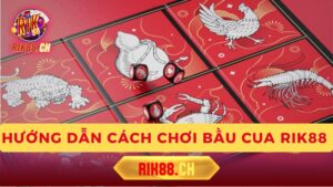 Hướng Dẫn Cách Chơi Bầu Cua Rik88 Từ A Đến Z